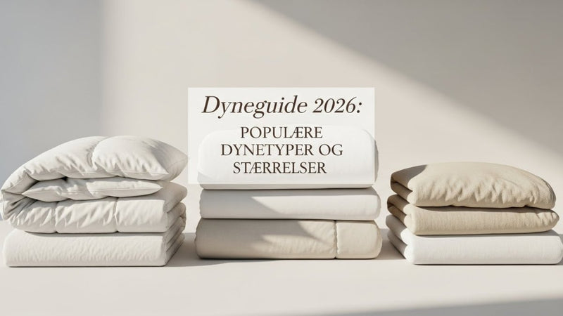 Den Store Dyneguide 2026