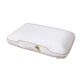 Argan Deluxe Aero Memory Hovedpude